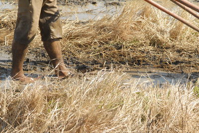 Low section of farmer working on agriculture field