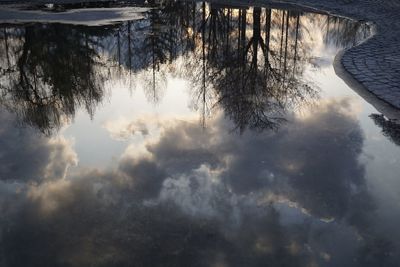 Scenic view of trees against sky during winter