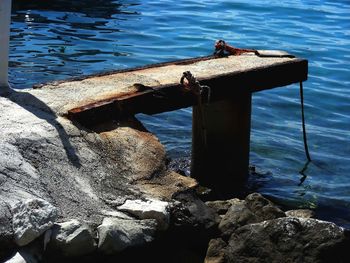 View of bird perching on metal