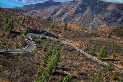 Country road leading towards mountains