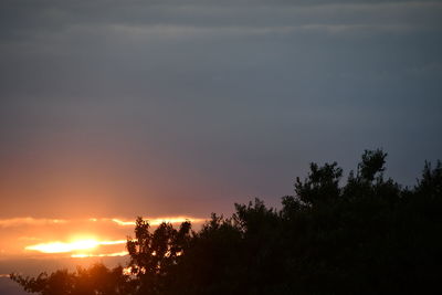 Silhouette trees against sky during sunset