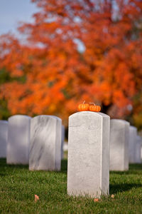 View of cemetery on field during autumn