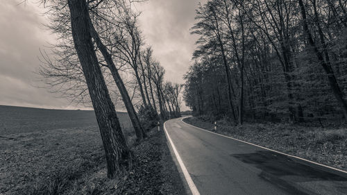 Empty road amidst trees against sky