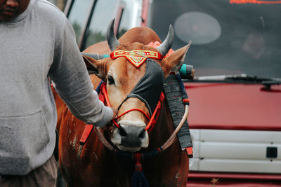 Rear view of man with horse on field