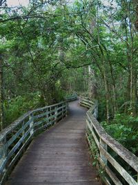 Footbridge in forest