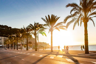 People by palm trees against sky
