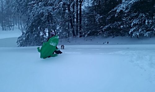 Scenic view of snow covered landscape