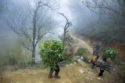 Man and horse on tree against sky