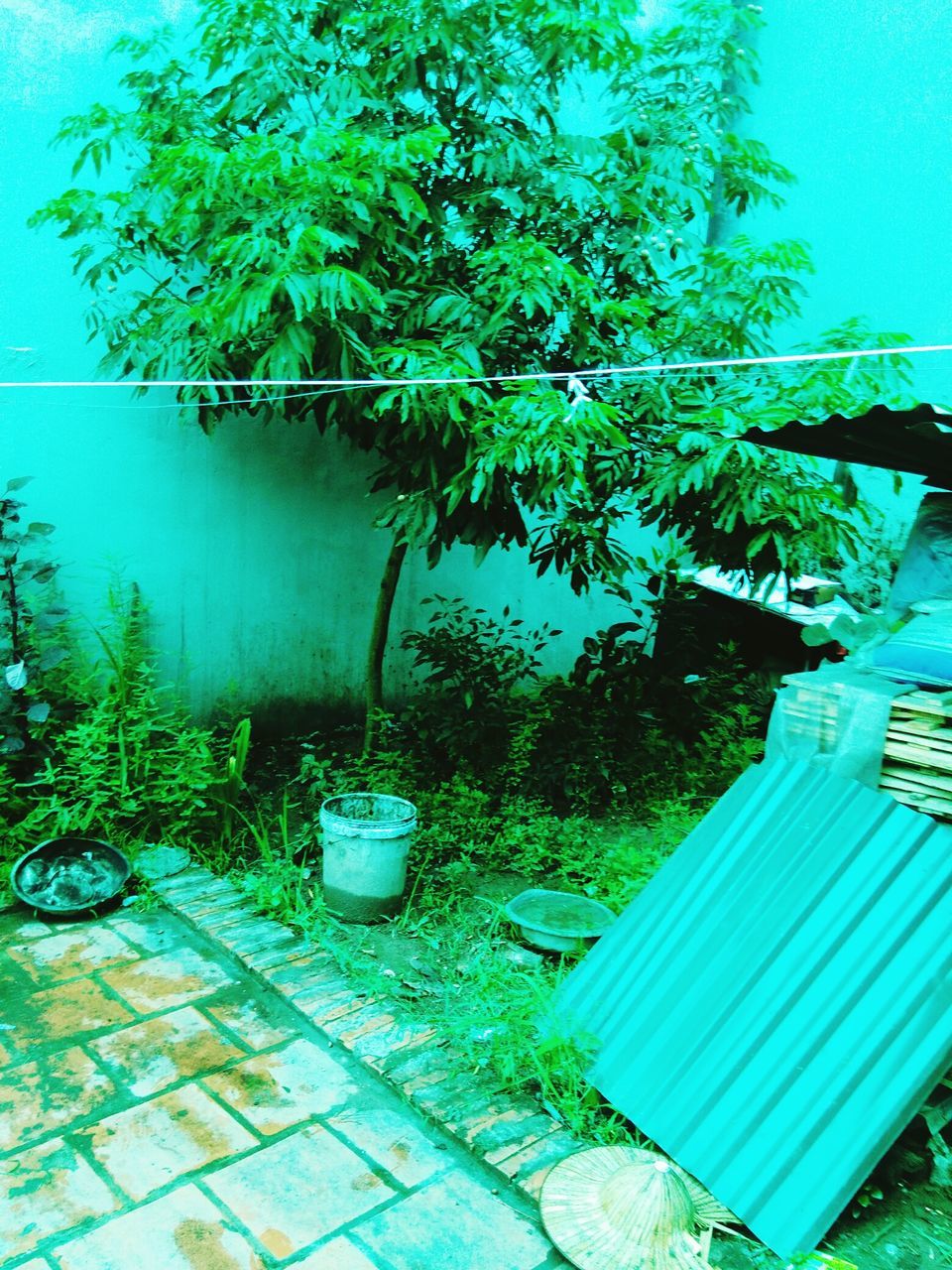 blue, tree, growth, plant, green color, empty, sunlight, chair, absence, day, built structure, front or back yard, no people, outdoors, shadow, nature, bench, seat, potted plant, grass