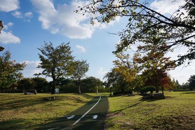 Road passing through field