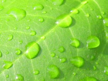 green color