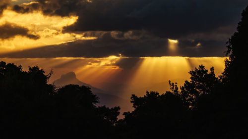 Silhouette trees against dramatic sky during sunset