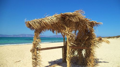 Coconut palm tree on beach against clear blue sky