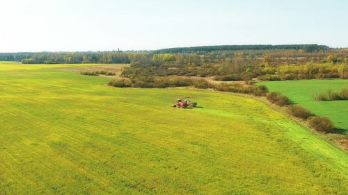 Scenic view of agricultural field