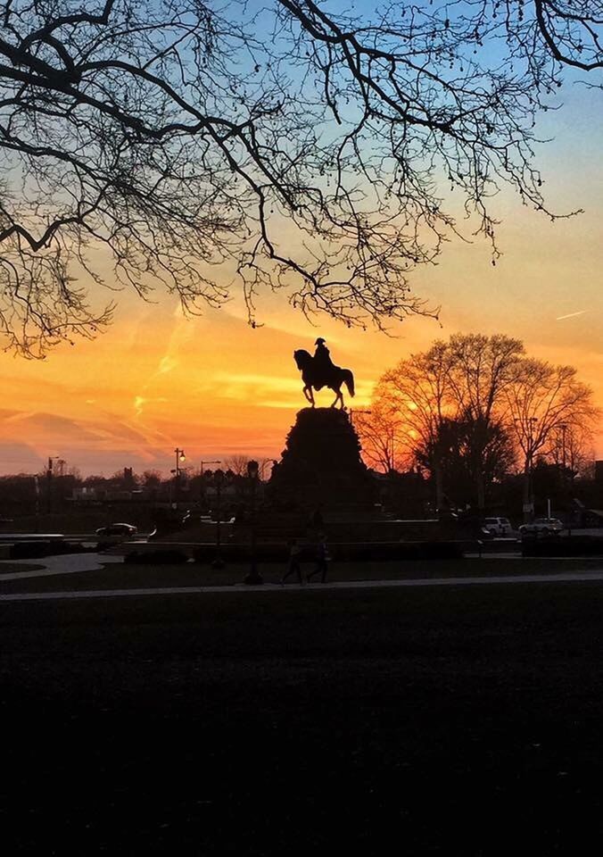 sunset, silhouette, tree, sky, orange color, animal themes, statue, bare tree, transportation, sculpture, horse, art and craft, one animal, land vehicle, mode of transport, art, animal representation, outdoors, dusk, nature