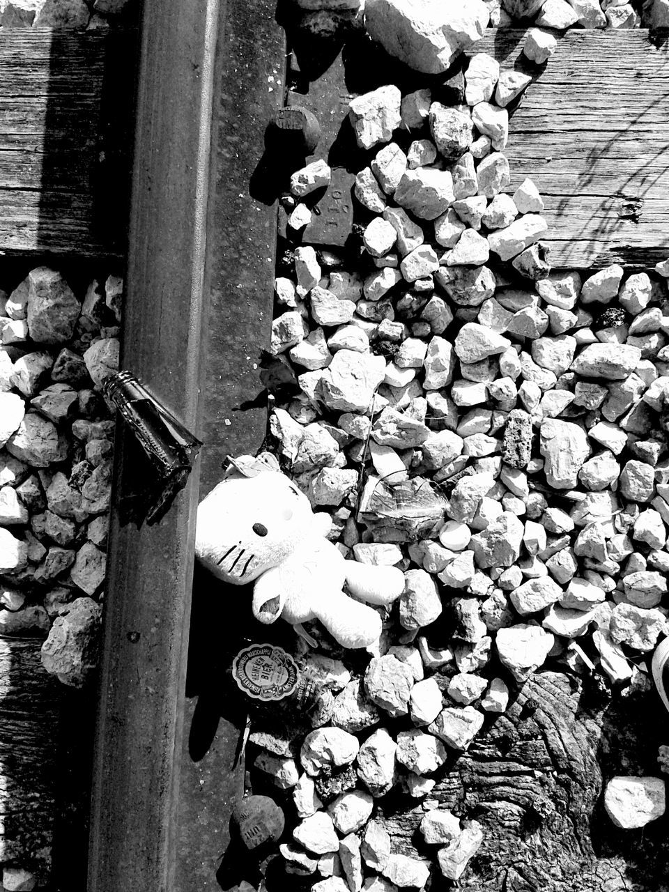 wood - material, high angle view, large group of objects, outdoors, day, abandoned, stone - object, bird, log, animal themes, abundance, wooden, wood, built structure, no people, firewood, leaf, stone wall, stack, close-up