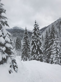 Panoramic view of snow covered landscape against sky