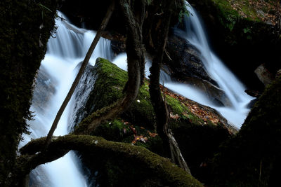 Low angle view of waterfall amidst trees in forest