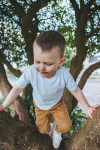 Full length of cute boy climbing a tree in a park trees