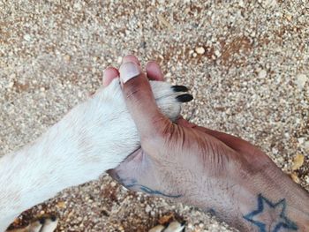 Close-up of tattooed hand holding dog paw on sand