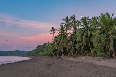 Scenic view of beach against sky during sunset