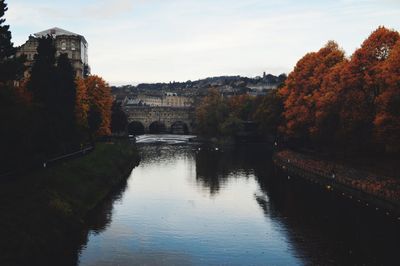 Scenic view of city by trees against sky