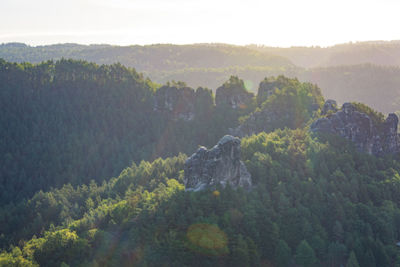 Scenic view of forest against sky