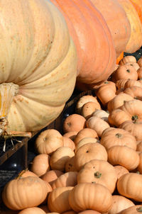 High angle view of pumpkins for sale at market stall