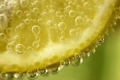 Extreme close-up of bubbles on lemon in wine