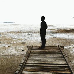 Rear view of man standing on beach against clear sky