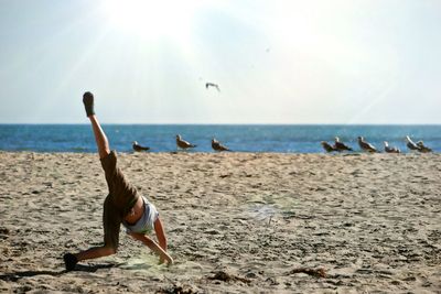 Birds flying over beach against sky