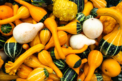 Full frame shot of pumpkins for sale at market