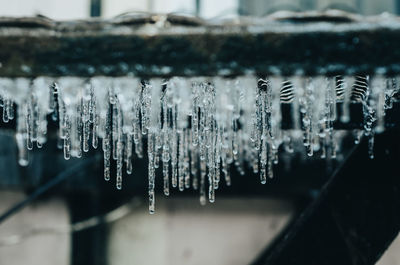 Close-up of icicles against blurred background