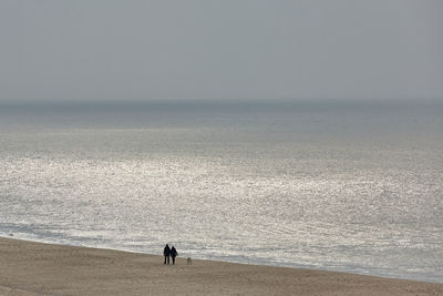 High angle view of couple walking with dog at shore of beach