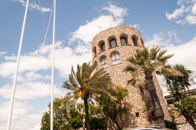 Low angle view of palm trees against sky