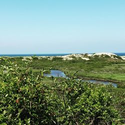 Scenic view of sea against clear blue sky