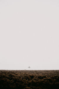 Scenic view of field against clear sky