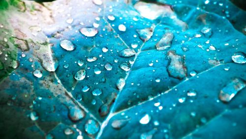 Full frame shot of raindrops on leaf