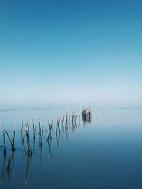 Scenic view of sea against clear blue sky