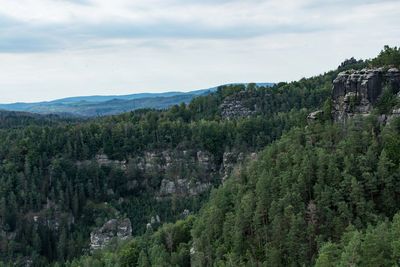 Scenic view of trees and mountains against sky