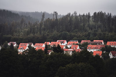 High angle view of trees and buildings against sky
