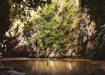 Scenic view of lake in forest