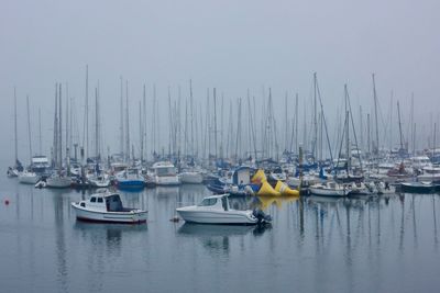 Sailboats moored in harbor