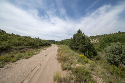 Road amidst trees against sky