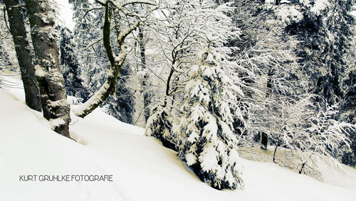 Scenic view of snow covered landscape