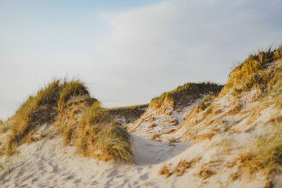 Sand dunes against blue sky