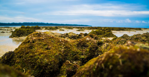 Scenic view of rocks by sea against sky