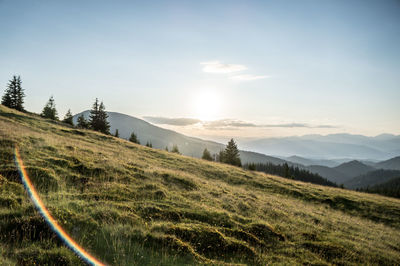 Scenic view of field against sky