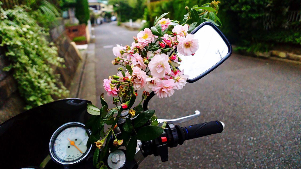 flower, freshness, focus on foreground, fragility, petal, growth, plant, land vehicle, transportation, close-up, vase, mode of transport, beauty in nature, nature, flower head, car, tree, table, day, potted plant