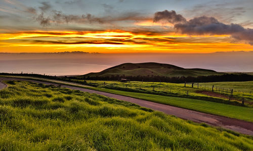 Scenic view of field against sky during sunset